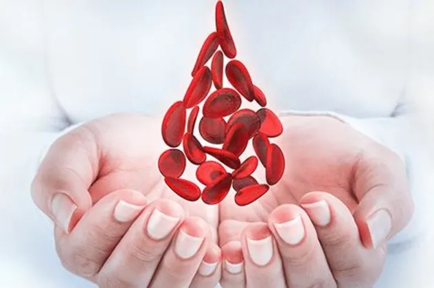 Kansızlık ömrü kısaltır