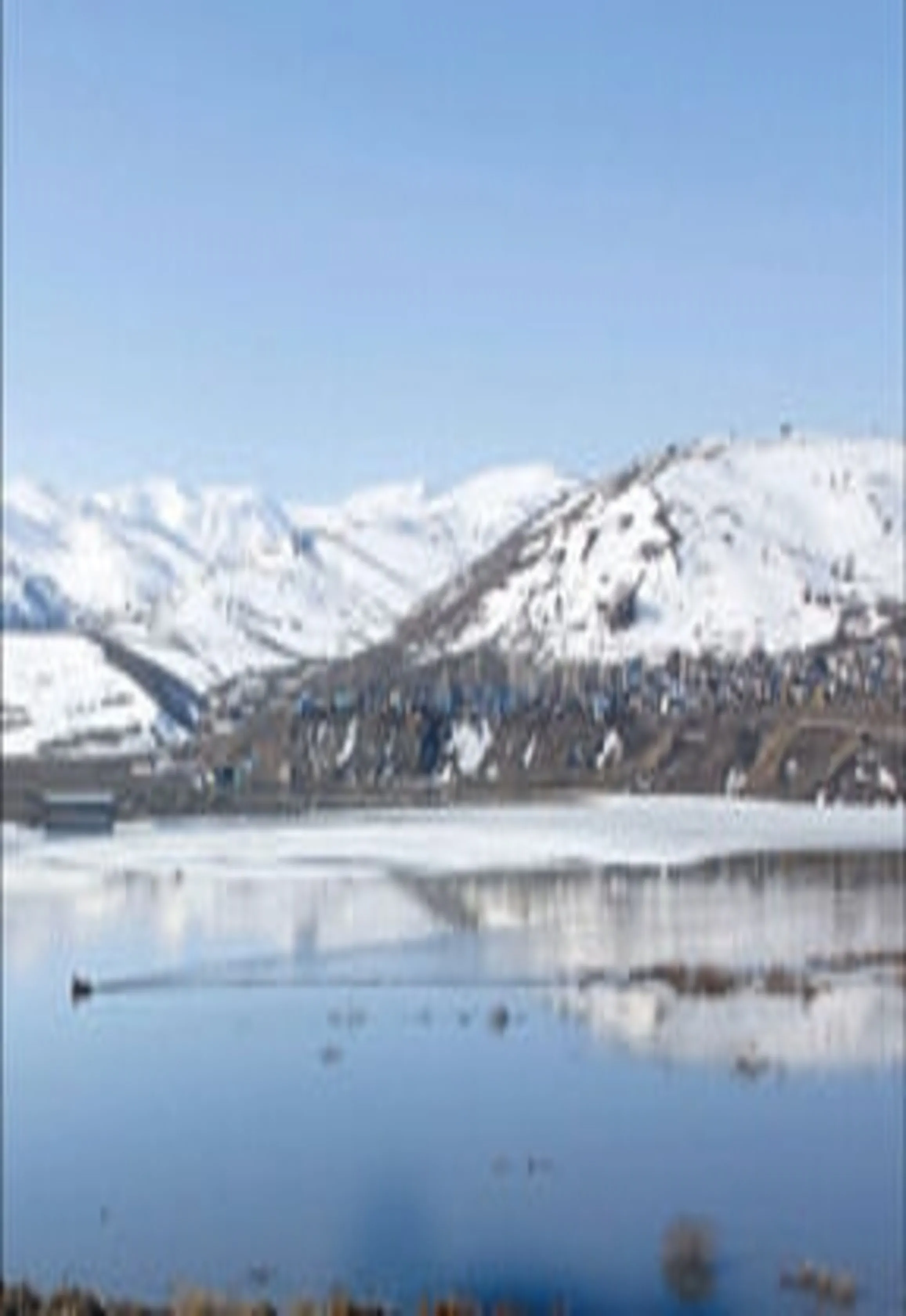 Çığlık çığlığa öldüler
