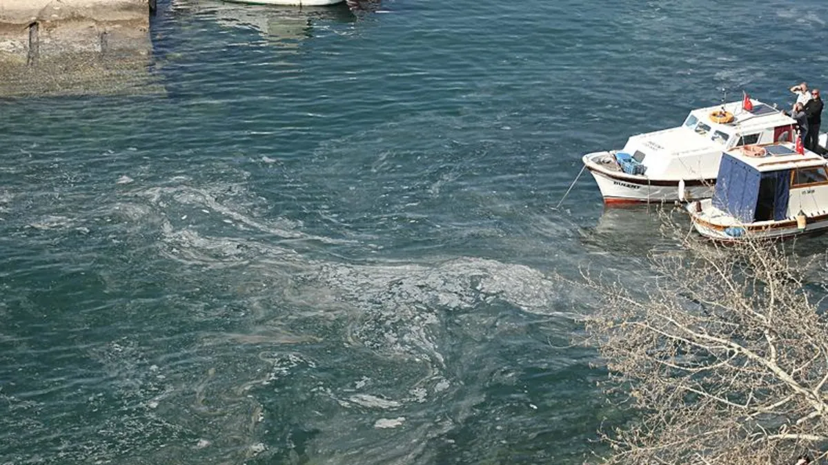 Marmara'da balıkçılar müsilaj nedeniyle av sezonunu erken kapattı