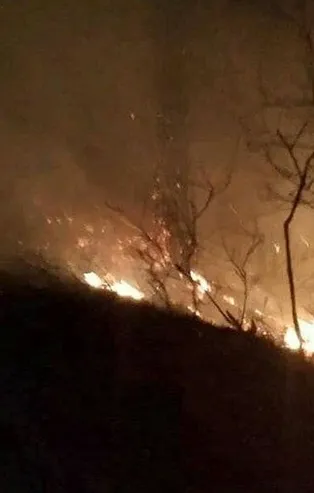 Son dakika: Osmaniye'de çıkan orman yangınına müdahale ediliyor