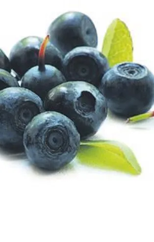 Sağlığın şifresi mor