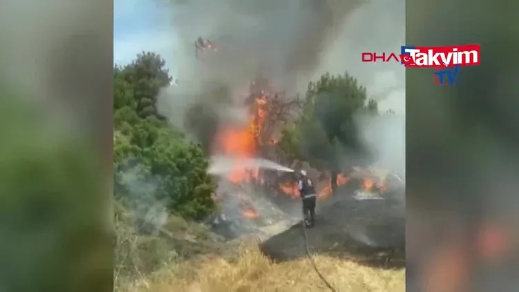 Eceabat’ta yangın!