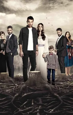 Sen Anlat Karadeniz'den yeni rekor