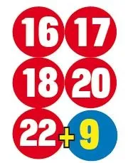 İstanbul'un orta yerinde aslan şoku! Ekipler harekete geçti-11