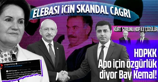 Millet İttifakı’nın ’Kürt sorununu çözer’ dediği HDP terörist elebaşı Öcalan için ’özgürlük kampanyası’ başlattı!