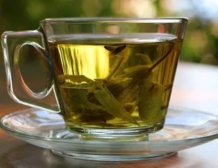 Hangi bitki çayı hangi hastalığa iyi geliyor? İşte şifa deposu mucizevi bitkiler...
