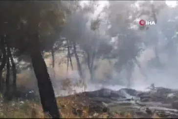 Savaştepe'de yangın!