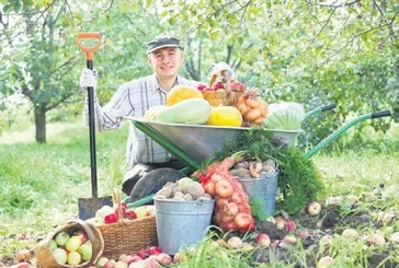 Kuraklık bitti, bereket başladı! TÜİK açıkladı: Tahılda yüzde 12, meyvede yüzde 57 üretim artışı bekleniyor