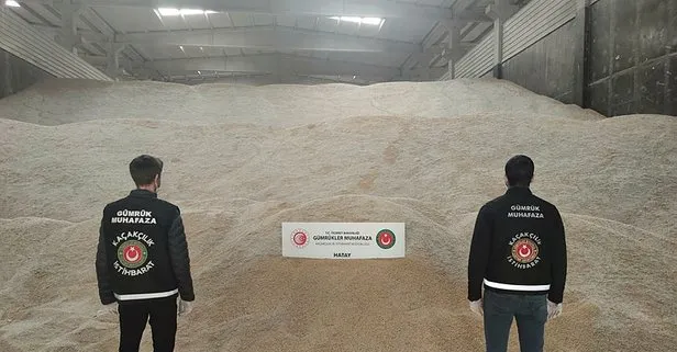 Hatay’da 5 bin ton genetiği değiştirilmiş pirinç ele geçirildi