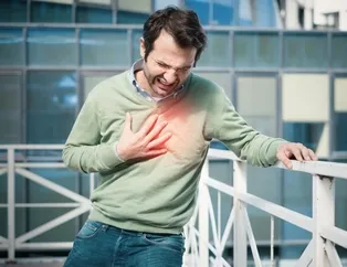 Kolesterol felce yol