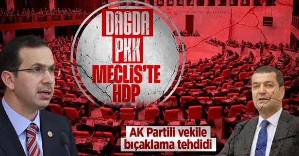 HDP’den Meclis’te bir provokasyon daha! AK Partili vekili bıçaklamakla tehdit etti