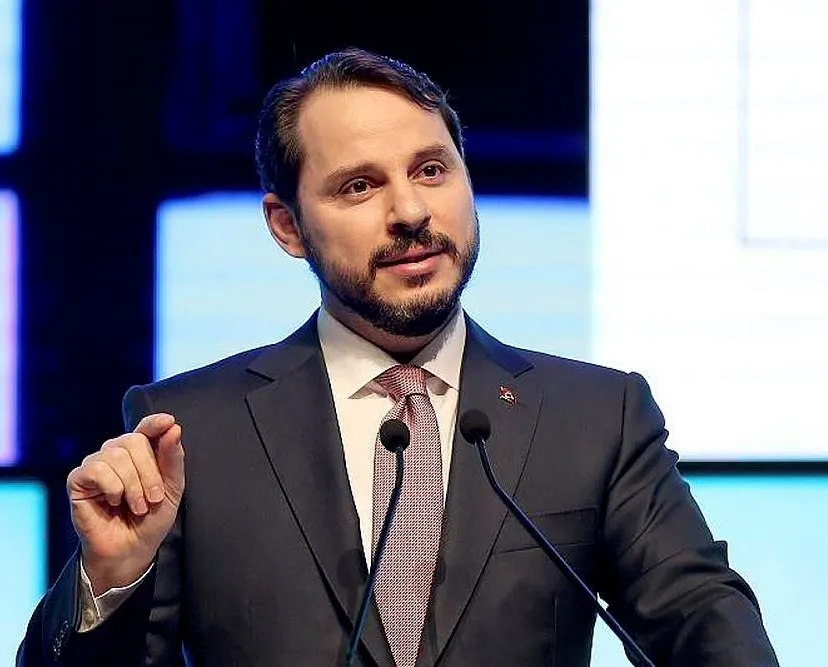 Hainler elektrik kablolarını kesti