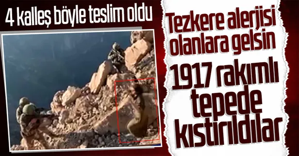 Irak'ın kuzeyindeki Avaşin'de 1917 rakımlı tepede operasyon! Mağarada saklanan 4 PKK'lı böyle teslim oldu