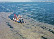 Deniz salyası çözümü nedir? Marmarada deniz salyası neden oluşur? Müsilaj nedir, nasıl temizlenir?
