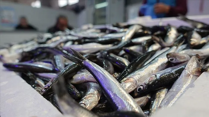 uzmanlardan-altin-tavsiyeler-almak-mi-lazim-satmak-mi-1702167216992.jpeg Uzmanlardan ‘altın’ tavsiyeler! Almak mı lazım satmak mı?-5