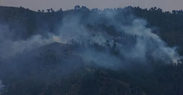 Terör örgütü PKK'nın yangın yalanı çürütüldü