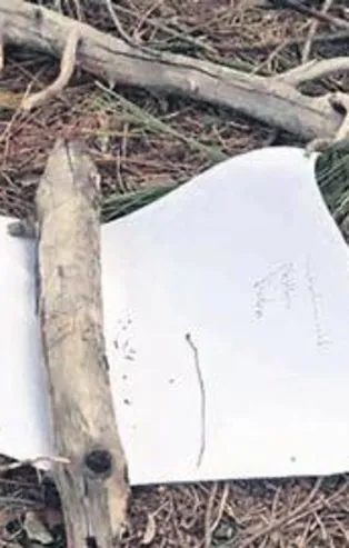 Okuldaki arkadaşlarına konum atan Yusuf U. ve Oğuzhan U. kendilerini ağaca asarak intihar etti