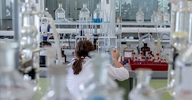 Birleşmeyle dünya devi doğdu