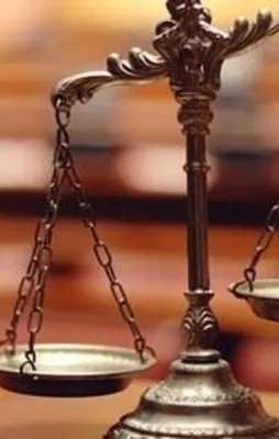 At izi, it izine karışmayacak