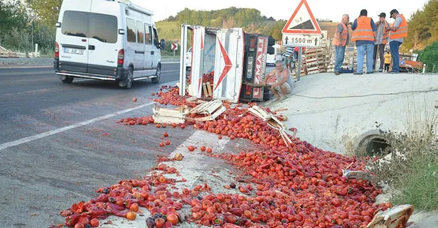 Kamyonet devrildi! Tonlarca domates yola saçıldı