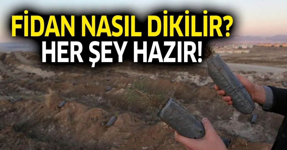 11 Kasim Gelecege Nefes Ol Kampanyasi Katilim Fidan Nasil Dikilir Agac Dikimi Nerede Yapilacak Takvim