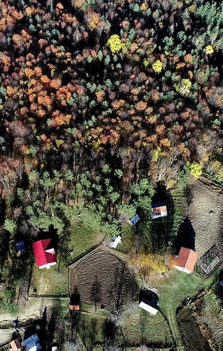 Dünyanın en yaşlı porsuk ağacının bulunduğu Gümeli ormanlarında eşsiz güzellik