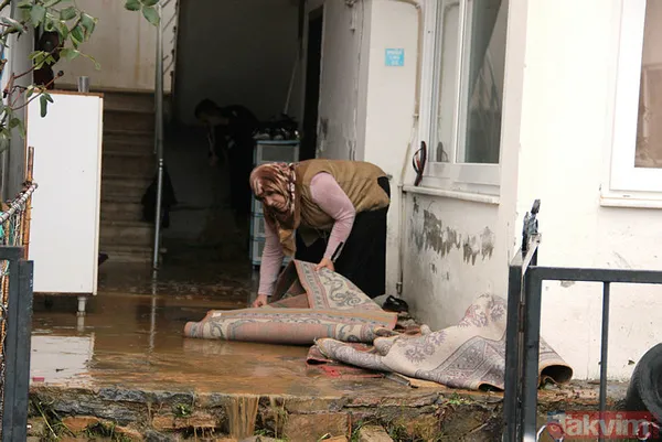 Muğla Bodrum'da hep aynı manzara! Evleri su bastı, sokak hayvanları boğuldu - 6