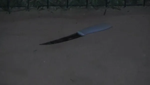 bosanma-asamasindaki-esini-cocuklarinin-gozu-onunde-bicakladi-1658740467822.jpg Boşanma aşamasındaki eşini çocuklarının gözü önünde bıçakladı-4