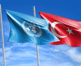 Son dakika: BM Türkiye sınırına gelen Suriyeli sayısını açıkladı