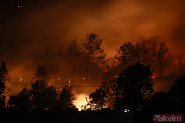 Kan kaybeden PKK, Türkiye'nin ormanlarını yakıyor: Yunanistan'da eğitim gördüler hedeflerinde turistik bölgeler var - 13