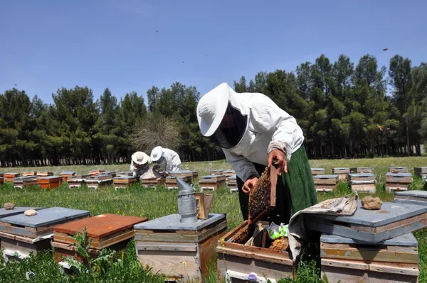 kayinpederleri-sevdirdi-bu-3-elti-kavga-etmiyor-aricilik-yapiyor-1618815618500.jpg Kayınpederleri sevdirdi! Bu 3 elti kavga etmiyor! Arıcılık yapıyor-5