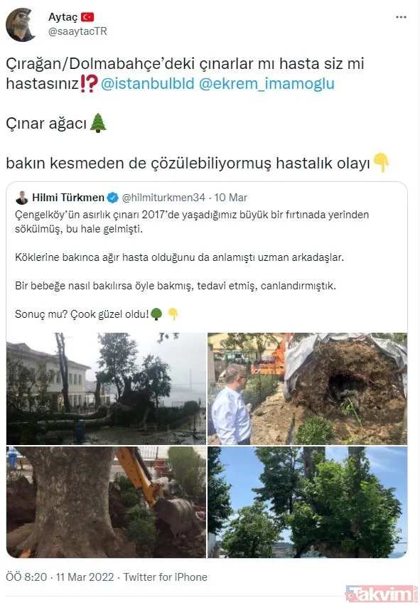 İstanbul tarihine kazınan bir ihanet! Ağaç zarar görmesin diye köşk yürüten Atatürk'ten asırlık çınarları katleden CHP'li İBB'ye - 25