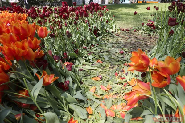 İstanbul Gülhane Parkı 10 katı ziyaretçi ağırladı! Laleler talan edildi - 12