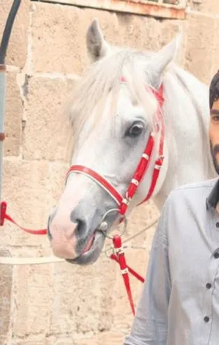 Hercai’nin yıldızı Akın Akınözü'nün hayranlarından alkışlık hareket! Kanser hastaları için harekete geçtiler...