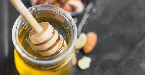 Türk balına en çok ilgi gösteren ülke Almanya oldu