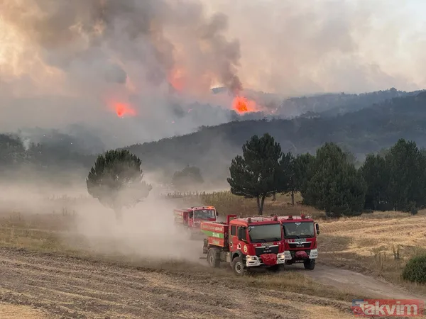 Eskişehir'deki orman yangınında şehit olan AKUT gönüllüsü Muharrem Can TUSAŞ'ta mühendismiş! - 1