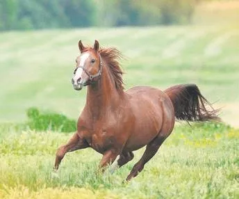 bursada-huzurevinde-kavga-eden-89-ve-94-yaslarindaki-iki-dede-birbirini-mahkemeye-verdi-yasam-haberleri-1665624570373.jpeg Bursa'da huzurevinde kavga eden 89 ve 94 yaşlarındaki iki dede birbirini mahkemeye verdi | Yaşam haberleri-3