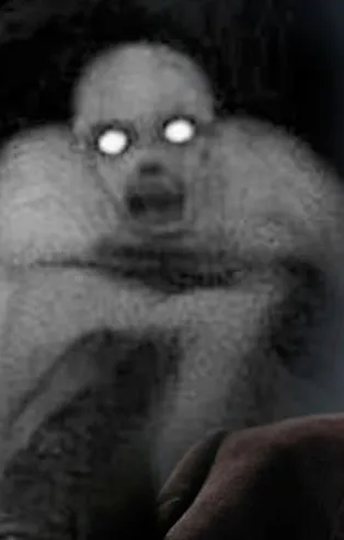 Stephan Hawking'in kıyamet uyarıları korkunç!