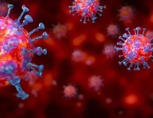 Türk hekimlerinden koronavirüs tedavisinde çığır açacak gelişme