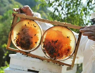 Bal ihracatından 18 milyon dolarlık gelir