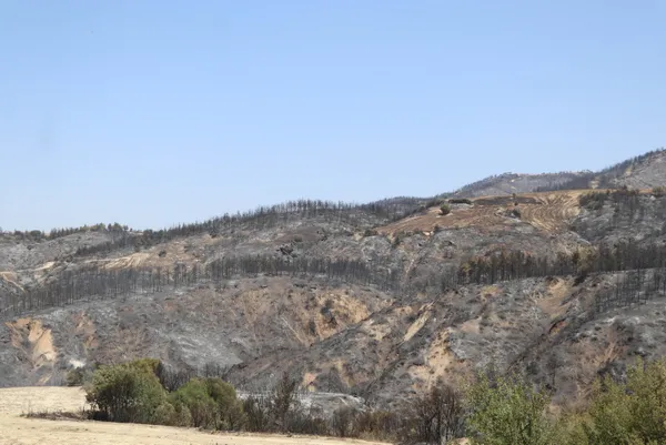 yangini-sondurmeye-calisirken-traktoruyle-birlikte-alevlerin-icinde-kalan-ciftci-kolumdaki-deri-naylon-gibi-acildi-yine-olsa-hic-dusunmeden-giderim-1627997332125.jpg Yangını söndürmeye çalışırken traktörüyle birlikte alevlerin içinde kalan çiftçi: Kolumdaki deri naylon gibi açıldı! Yine olsa hiç düşünmeden giderim-3