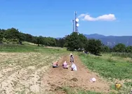 Hepsinden 15 kat daha değerli! Bir tutamına bile denk gelen yaşadı: Dünyanın en pahalı bitkisi...