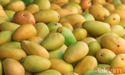 Mango meyvesinin faydaları nelerdir? Mango nasıl yenir, nerede yetişir?