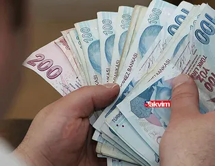 Maaş gibi hesaplara yatırılıyor! Başvuran herkese 10 bin 732,50 TL! 18 yaş altı da alıyor! Yıl sonuna kadar...