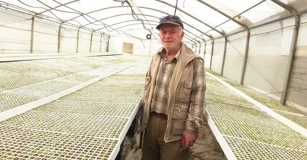 Emekli albay ABD'ye 1 ton kurutulmuş şeker otu ihraç edecek