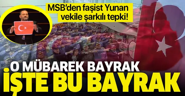 Son dakika: MSB'den Türk bayrağını yırtan ırkçı Yunan vekile klipli tepki: O mübarek bayrak işte bu bayrak