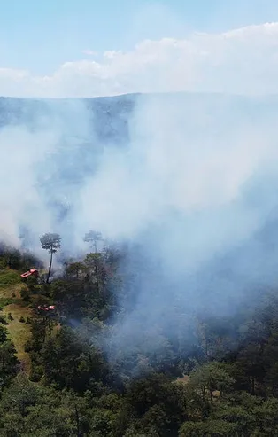 Balıkesir'de orman yangını!