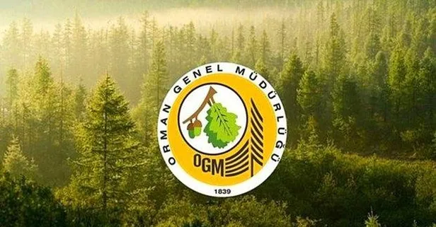 Orman Genel Müdürlüğü orman mühendisi alımı şartları nelerdir? OGM personel alımı ne zaman yapılacak? Hangi illerde alım yapılacak?