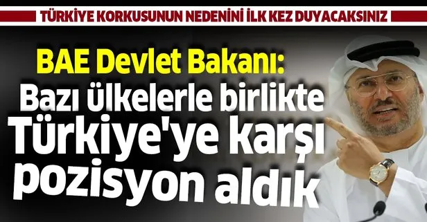 Birleşik Arap Emirlikleri Devlet Bakanı Enver Gargaş: Bazı ülkelerle birlikte Türkiye’ye karşı pozisyon aldık