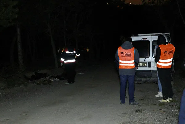 ankarada-imrahor-deresi-yataginda-damar-yolu-acilmis-30-kopek-olusu-bulundu-1617916992037.jpg Ankara'da İmrahor Deresi yatağında damar yolu açılmış 30 köpek ölüsü bulundu-3